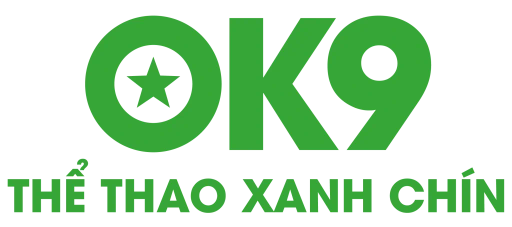 vnok9link.net Logo